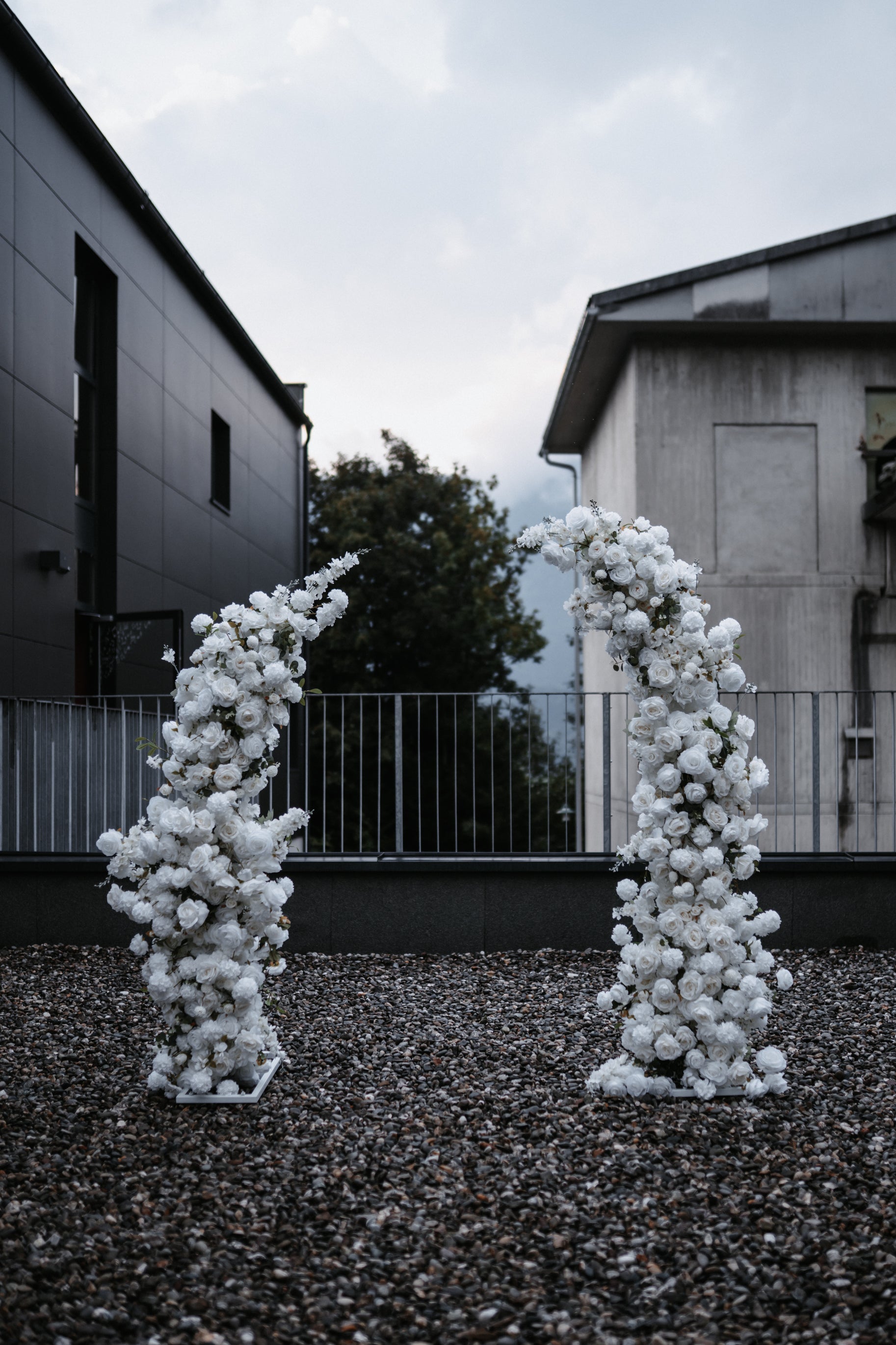 Hornbogen "Alba"